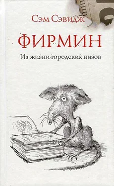 Сэм Сэвидж Фирмин. Из жизни городских низов обложка книги