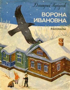 Дмитрий Горбунов Ворона Ивановна [Рассказы] обложка книги