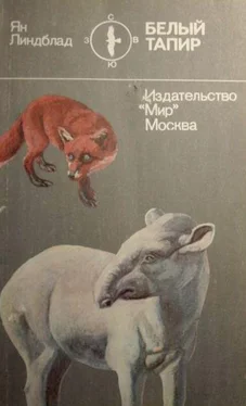 Ян Линдблад Белый тапир и другие ручные животные обложка книги