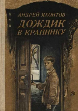 Андрей Яхонтов Дождик в крапинку обложка книги