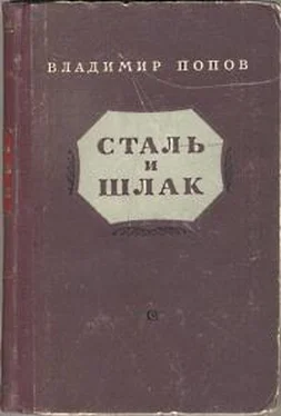 Владимир Попов Сталь и шлак обложка книги