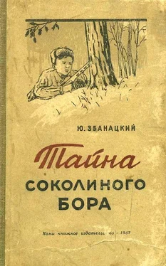 Юрий Збанацкий Тайна Соколиного бора обложка книги