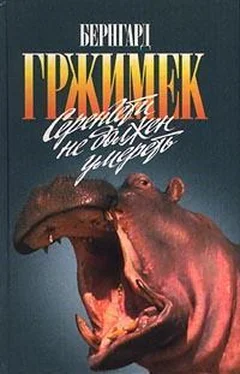 Бернхард Гржимек Серенгети не должен умереть обложка книги