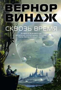 Вернор Виндж Сквозь время обложка книги