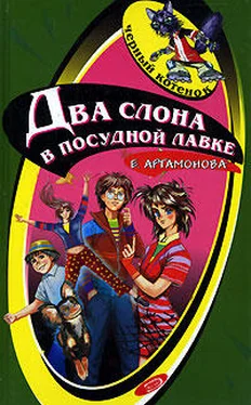 Елена Артамонова Два слона в посудной лавке обложка книги