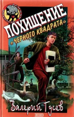 Валерий Гусев Похищение Черного Квадрата обложка книги