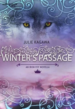 Julie Kagawa Winter's Passage обложка книги