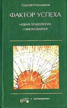 Сергей Ключников Фактор успеха обложка книги