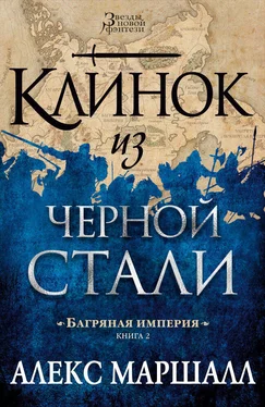 Алекс Маршалл Клинок из черной стали обложка книги