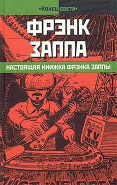 Фрэнк Заппа Настоящая книжка Фрэнка Заппы обложка книги