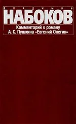 Владимир Набоков - Комментарий к роману Евгений Онегин