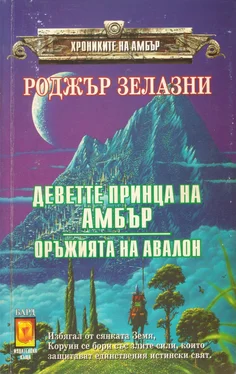 Роджър Зелазни Деветте принца на Амбър обложка книги