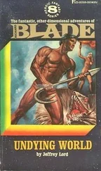 Джеффри Лорд - Undying World