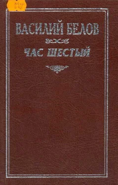 Василий Белов Час шестый обложка книги