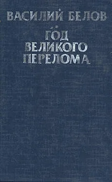 Василий Белов Год великого перелома обложка книги