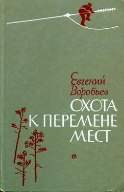 Евгений Воробьев Охота к перемене мест обложка книги