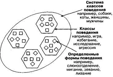 ния также могли бы включать привычки склонности и другие паттерны которые - фото 26