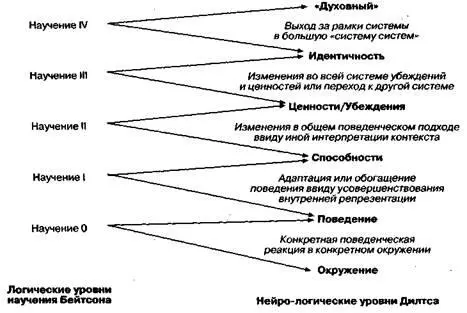 Связь уровней научения Бейтсона с нейрологическими уровнями ничение скорости - фото 29