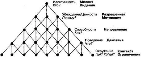 Нейрологические уровни могут быть представлены как ряд упорядоченных групп в - фото 30