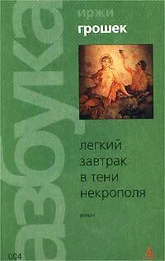 Иржи Грошек Легкий завтрак в тени некрополя обложка книги