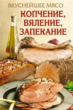 Елена Бойко Вкуснейшее мясо. Копчение, вяление, запекание обложка книги