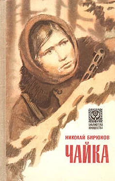 Николай Бирюков Чайка обложка книги