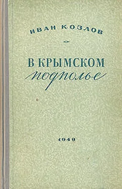 Иван Козлов В крымском подполье обложка книги