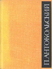 Павел Антокольский - Сын