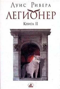 Луис Ривера Легионер. Книга 2 обложка книги