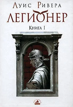 Луис Ривера Легионер. Книга 1 обложка книги