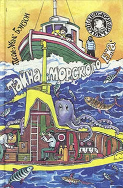 Поль-Жак Бонзон Тайна «морского ежа» обложка книги