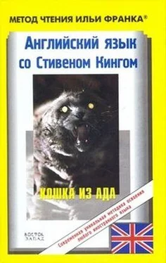 Stephen King Английский язык с Стивеном Кингом Кошка из ада обложка книги