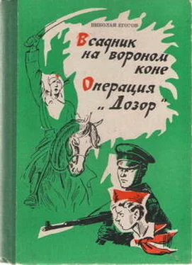 Николай Егоров Всадник на вороном коне обложка книги