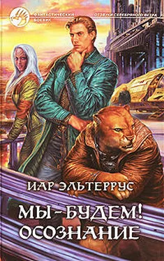 Иар Эльтеррус Мы – будем! Осознание обложка книги