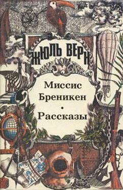 Жюль Верн Хиль Бралтар обложка книги
