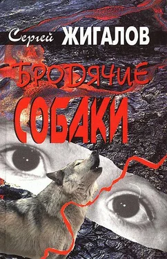 Сергей Жигалов Бродячие собаки обложка книги