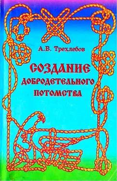 Алексей Трехлебов Создание добродетельного потомства обложка книги