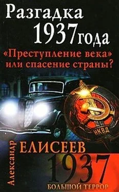 Александр Елисеев Разгадка 1937 года. Преступление века или спасение страны? обложка книги