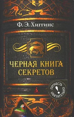 Фиона Хиггинс Черная книга секретов обложка книги