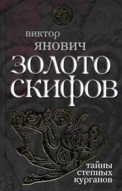 Виктор Янович Золото скифов: тайны степных курганов обложка книги