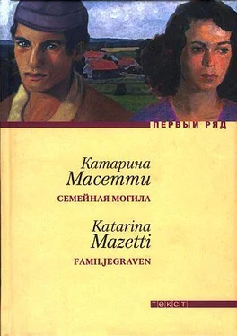 Катарина Масетти Семейная могила обложка книги