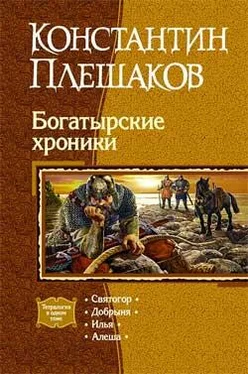 Константин Плешаков Богатырские хроники обложка книги