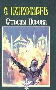 Станислав Пономарев Стрелы Перуна обложка книги