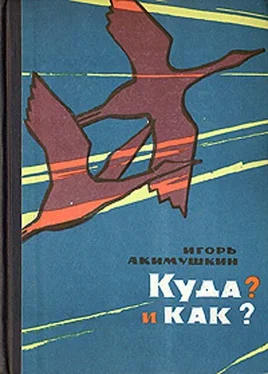 Игорь Акимушкин КУДА? и КАК?