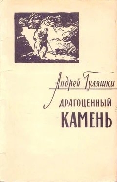 Андрей Гуляшки Драгоценный камень обложка книги