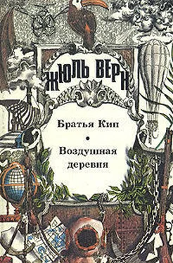 Жюль Верн Братья Кип обложка книги
