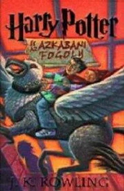 Joanne Rowling Harry Potter és az azkabani fogoly обложка книги