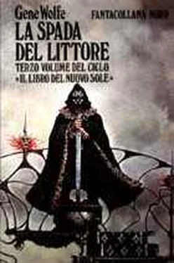 Gene Wolfe La spada del Littore обложка книги