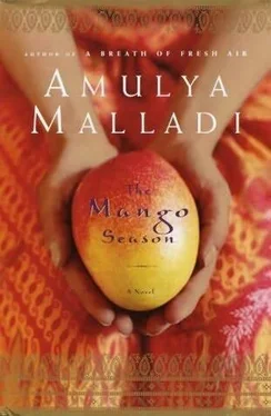 Amulya Malladi The Mango Season обложка книги