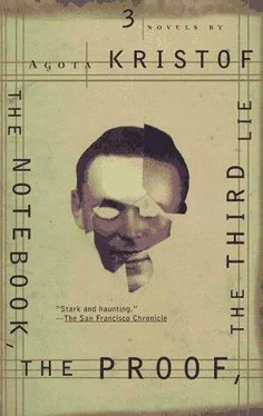 Agota Kristof The Book of Lies обложка книги
